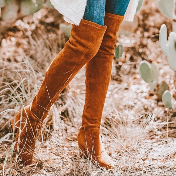 goodnight macaroon marlo